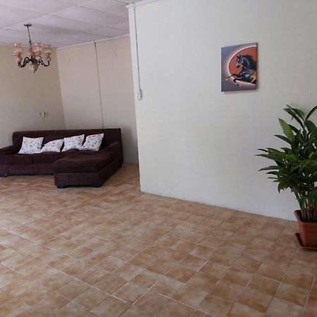 Mi Hogar Apartment Julianadorp Bagian luar foto