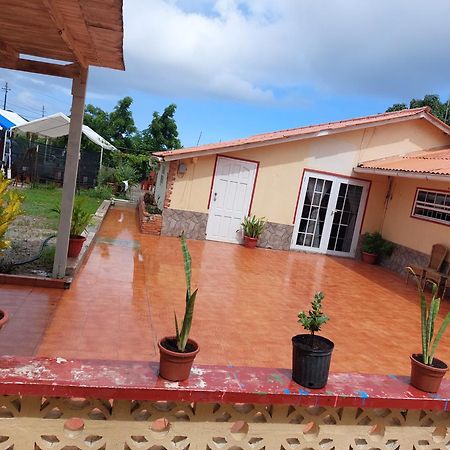 Mi Hogar Apartment Julianadorp Bagian luar foto